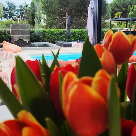 بيت ضيافة La Monarque (adults Only) آجد
