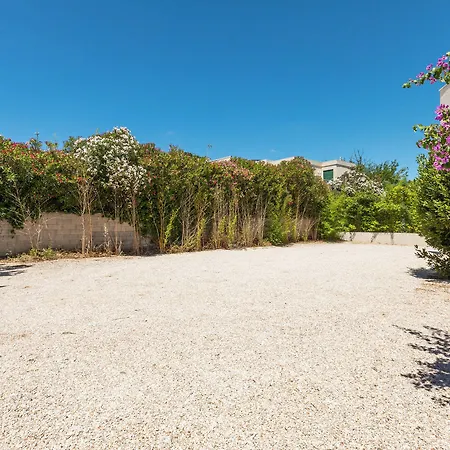 La Monarque (adults Only)